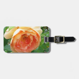 Etiqueta De Bagagem Elegante Laranja Blush Rosa