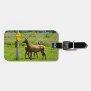 Etiqueta De Bagagem Elk Crossing California Wildlife