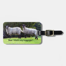 Encontrei Minha Bagagem.