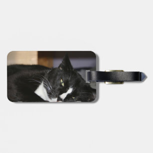 Etiqueta De Bagagem encontro preto e branco do gato do smoking para