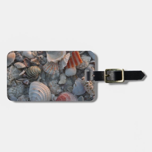 Etiqueta De Bagagem Escudos do mar na areia (Frente Horizontal)