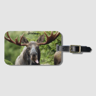 Etiqueta De Bagagem Espingarda Touro Moose