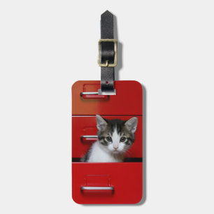 Etiqueta De Bagagem Espreitar do gatinho