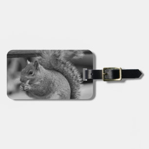 Etiqueta De Bagagem Esquilo