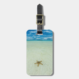 Etiqueta De Bagagem Estrela-do-mar em água rasa, Palau