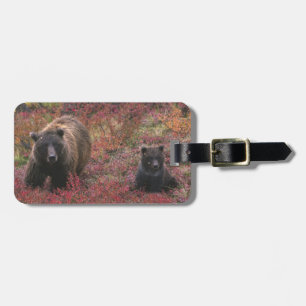 Etiqueta De Bagagem EUA, Alasca, Parque Nacional Denali. Urso pardo