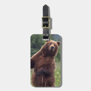 Etiqueta De Bagagem EUA, Alaska do sudeste, urso de Brown e filhote