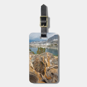 Etiqueta De Bagagem EUA, Califórnia, Floresta Nacional de Inyo.