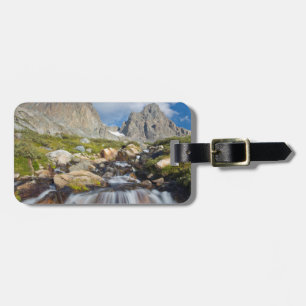 Etiqueta De Bagagem EUA, Califórnia, Inyo National Forest 14