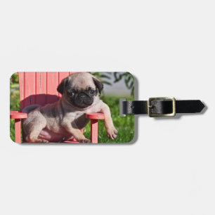 Etiqueta De Bagagem EUA, Califórnia. Pug cachorrinho desleixado