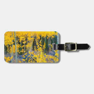 Etiqueta De Bagagem EUA, Colorado. Álamo Amarelo Brilhante nas Montanh
