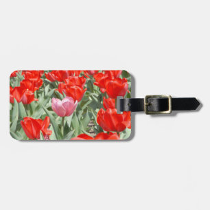 Etiqueta De Bagagem EUA, Kansas, Tulipas Vermelhas Com Uma Tulipa Rosa