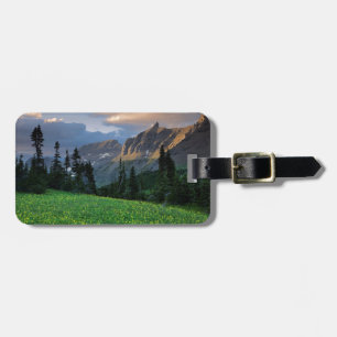 Etiqueta De Bagagem EUA, Montana, Parque Nacional Glacier, Logan Pass