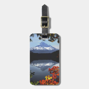 Etiqueta De Bagagem EUA, Oregon, Floresta Nacional de Mt. Hood.