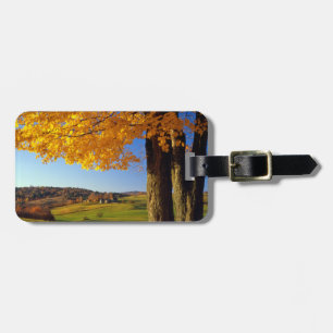Etiqueta De Bagagem EUA, Vermont. Fazenda Cênica perto de South Woodst