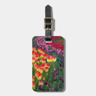 Etiqueta De Bagagem EUA, Washington. Tulipas em Flor 2
