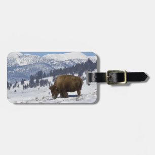 Etiqueta De Bagagem EUA, WY, Parque Nacional Yellowstone, Bisonte Amer