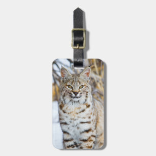 Etiqueta De Bagagem EUA, Wyoming, Retrato de um lince-vermelho