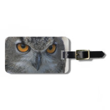 Eurasian Eagle Owl Orange Eyes