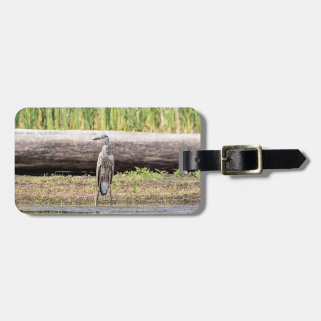 Etiqueta De Bagagem Excelente Blue Heron no lago Champlain (Frente Horizontal)
