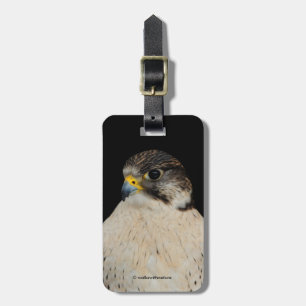 Etiqueta De Bagagem Falcão do híbrido de Gyrfalcon Saker