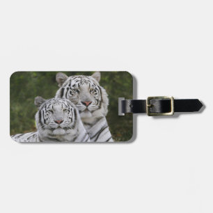 Etiqueta De Bagagem Fase branca, tigre-de-bengala, Tigris