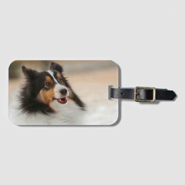 Etiqueta De Bagagem Feliz Shelty (Frente Horizontal)