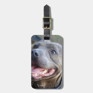 Etiqueta De Bagagem Feliz Staffordshire Bull Terrier, 