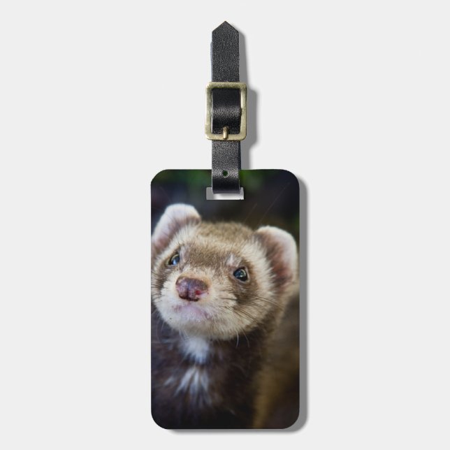 Etiqueta De Bagagem Ferret (Frente Vertical)
