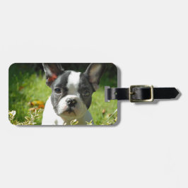 Etiqueta De Bagagem Filhote de Bulldog Francês Preto e Branco