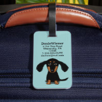 Filhote de Dachshund de Cabelo Longo