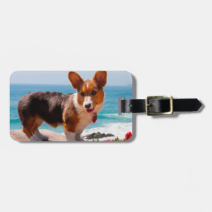 Etiqueta De Bagagem Filhote de Pembroke Welsh Corgi em pé na mesa