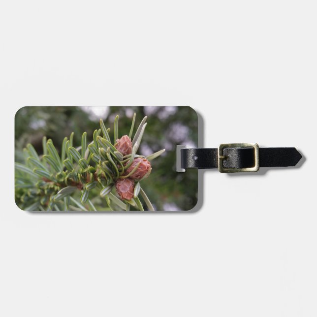 Etiqueta De Bagagem Fir buds (Frente Horizontal)