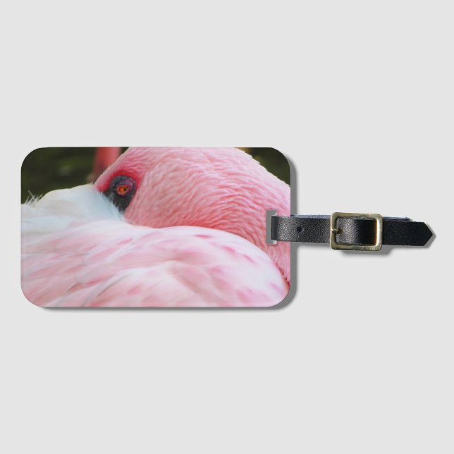Etiqueta De Bagagem Flamingo (Frente Horizontal)