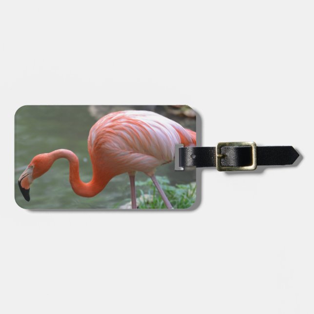 Etiqueta De Bagagem Flamingo delicado (Frente Horizontal)