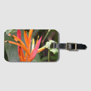 Etiqueta De Bagagem Flor de Ave do Paraíso Laranja Havaiana Quadrada
