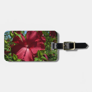 Etiqueta De Bagagem Flor de Hibiscus e Foto de Verão do Céu Azul