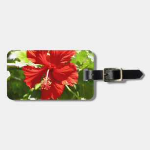 Etiqueta De Bagagem Flor de Hibiscus Vermelho Havaiano