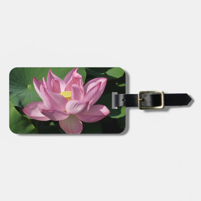 Etiqueta De Bagagem Flor de Lotus Rosa IV (Frente Horizontal)