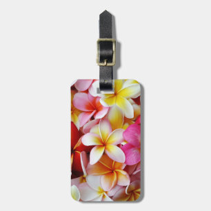 Etiqueta De Bagagem Flor de Plumeria Mistura, Amarelo-Rosa