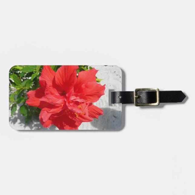 Etiqueta De Bagagem Flor Red Double Hibiscus (Frente Horizontal)