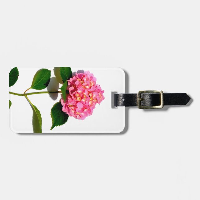 Etiqueta De Bagagem Flor rosa rosa rosa-rosa Hydrangea rosa (Frente Horizontal)