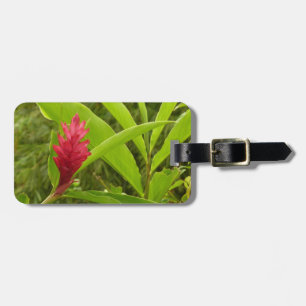Etiqueta De Bagagem Flor Vermelho Ginger (Alpinia)