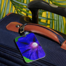 Floral Bonito