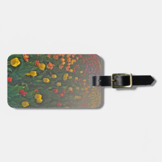 Etiqueta De Bagagem Floral Tulip Luggage Tag