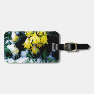 Etiqueta De Bagagem Flores amarelas dos Daffodils na neve