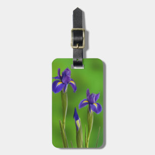 Etiqueta De Bagagem Flores de Íris