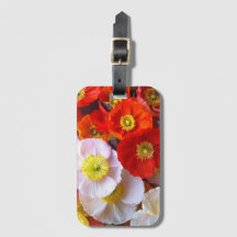 Flores de Papoula Brilhantes