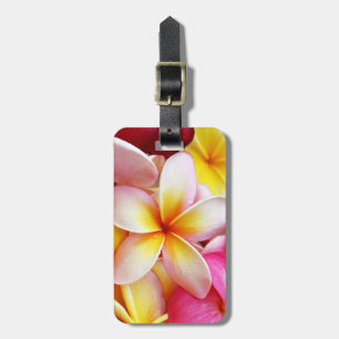 Etiqueta De Bagagem Flores de Plumeria Frangipani Amarelo-Rosa