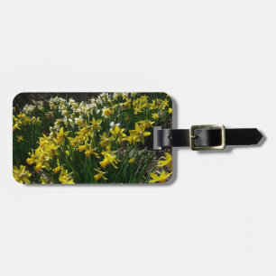 Etiqueta De Bagagem Flores de primavera de Daffodils Amarelos e Branco